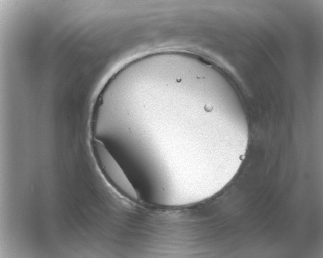 X0000063531512200602102004