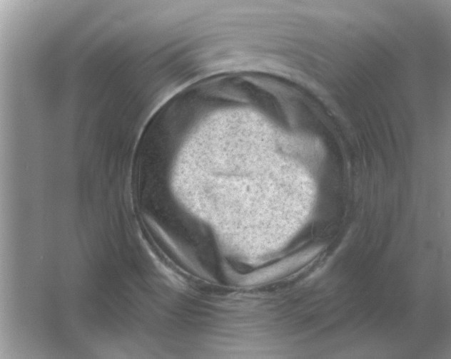 X0000063531513200602102004