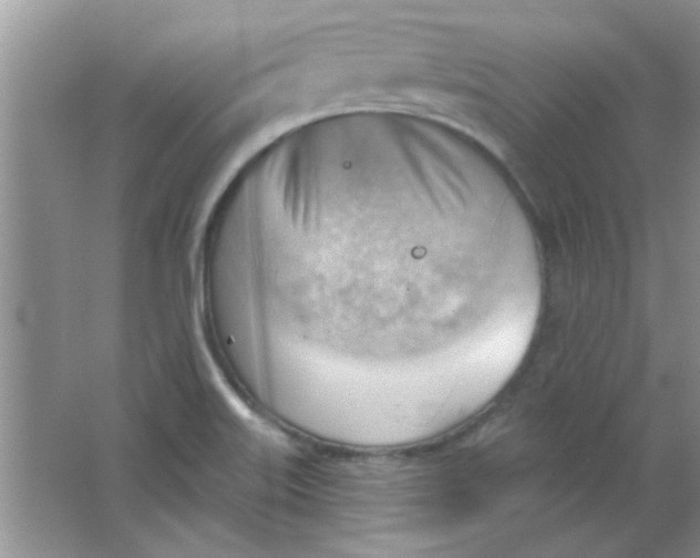 X0000063531515200602102004