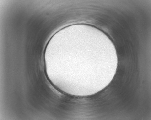 X0000063531516200602102004