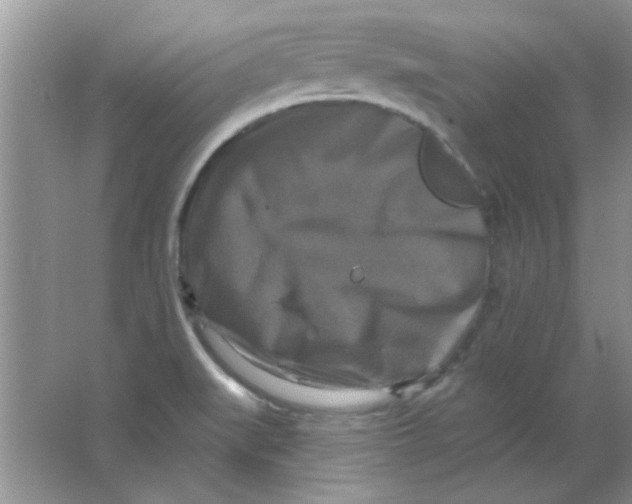 X0000063531519200602102004