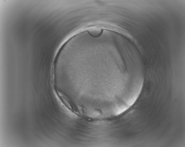 X0000063531522200602102004