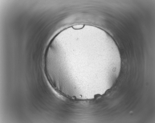 X0000063531523200602102004