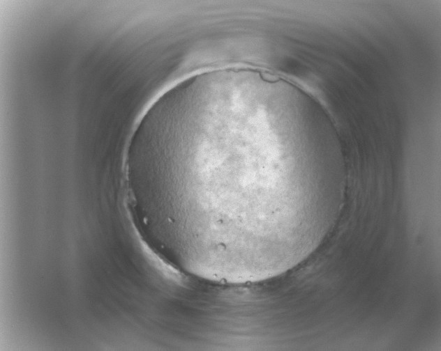 X0000063531524200602102004