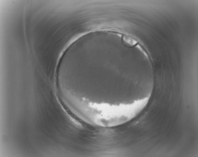 X0000063531525200602102004