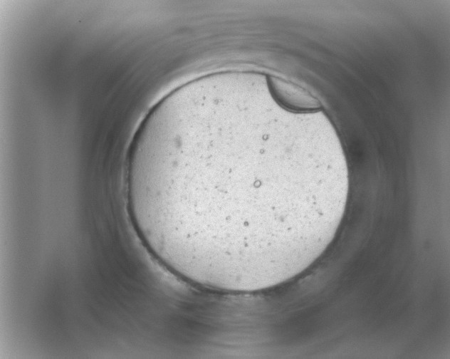 X0000063531526200602102004