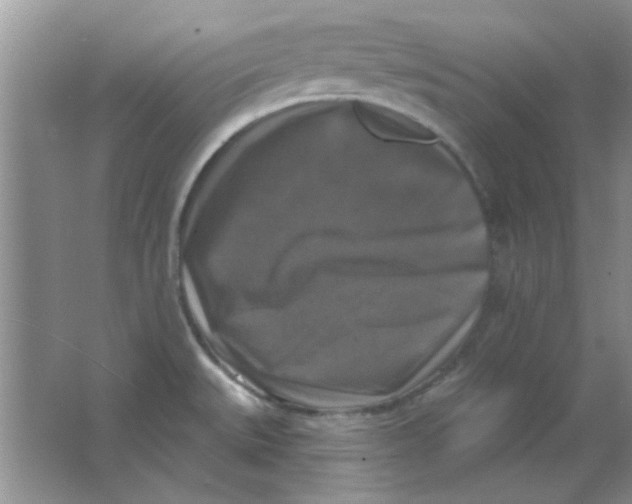 X0000063531527200602102004