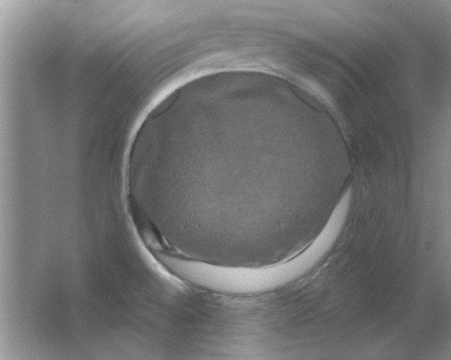 X0000063531528200602102004