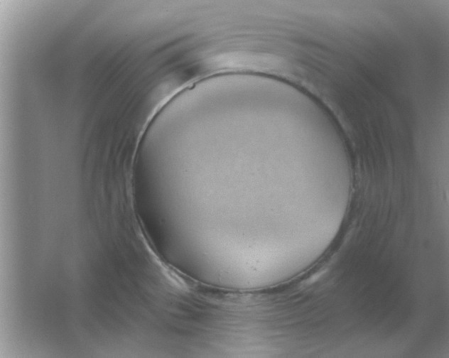 X0000063531529200602102004