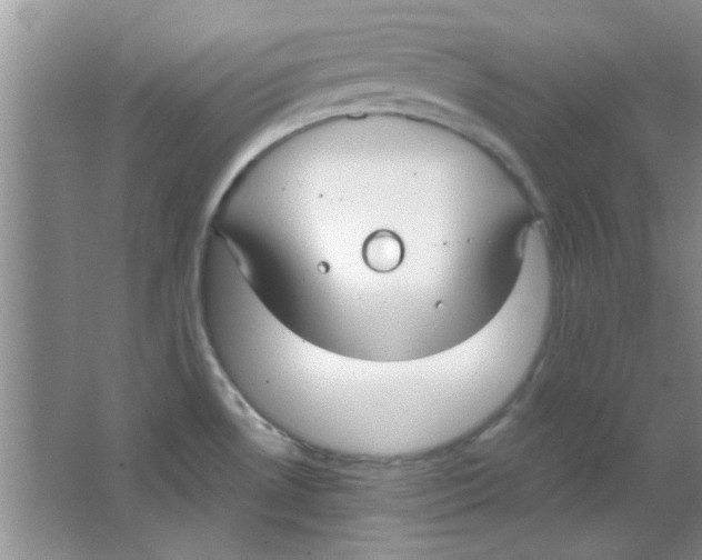 X0000063531530200602102004