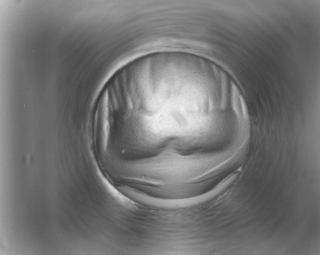 X0000063531531200602102004