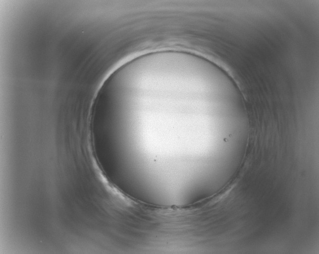 X0000063531534200602102004