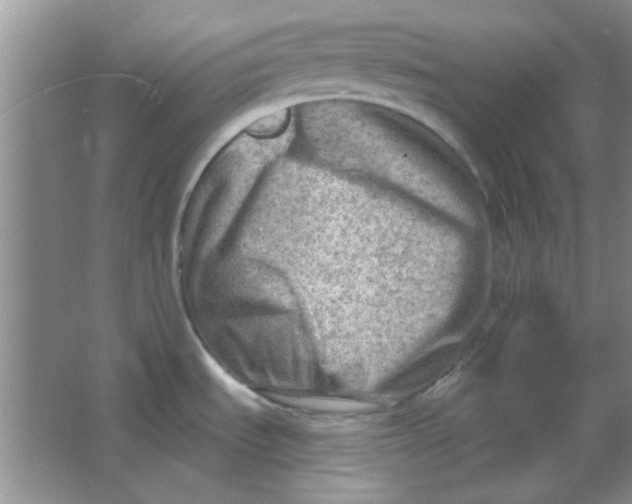 X0000063531535200602102004