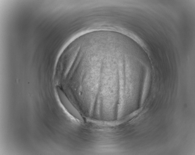 X0000063531536200602102004