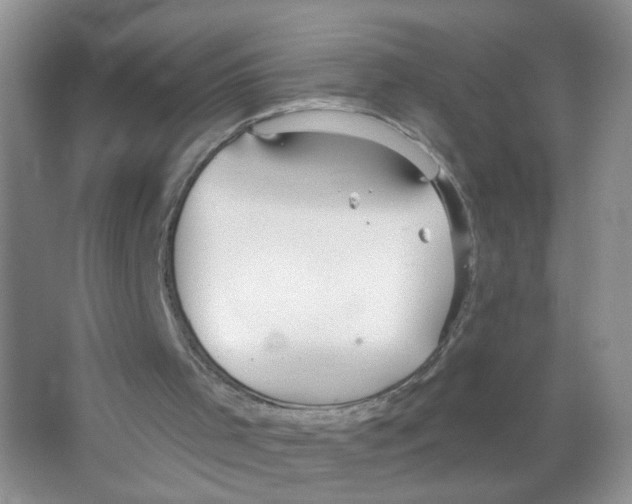 X0000063530001200602172255