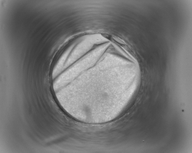 X0000063530002200602172255