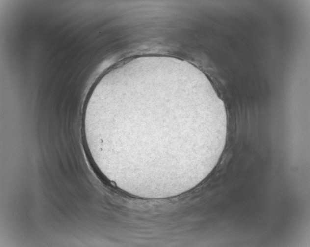 X0000063530003200602172255