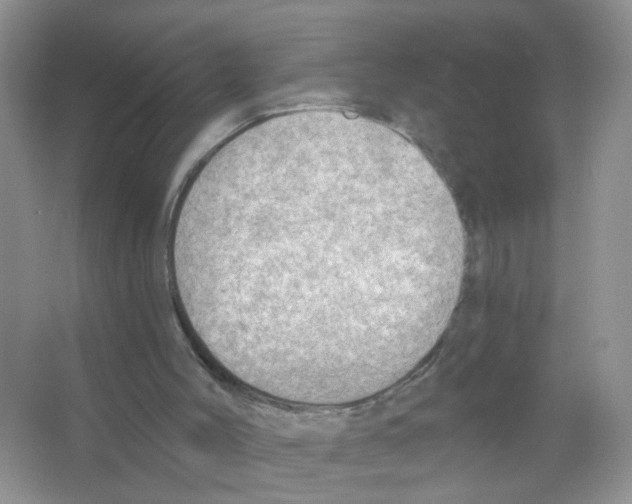 X0000063530004200602172255