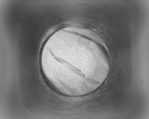 X0000063530006200602172255