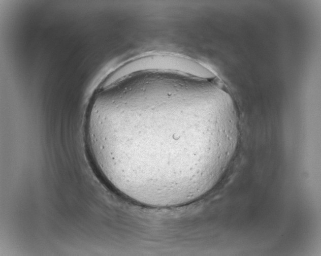 X0000063530007200602172255