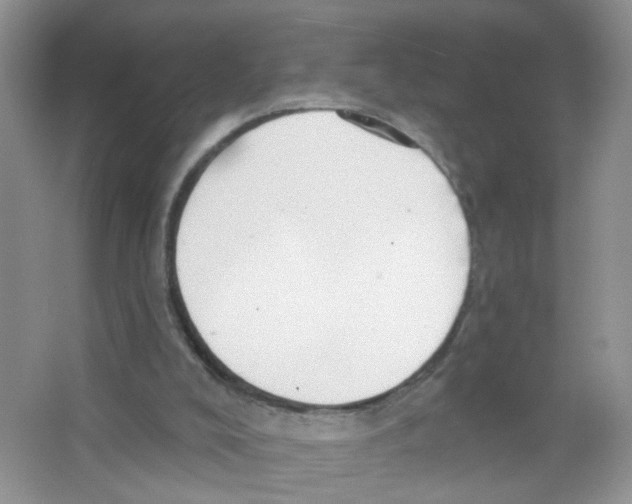 X0000063530008200602172255