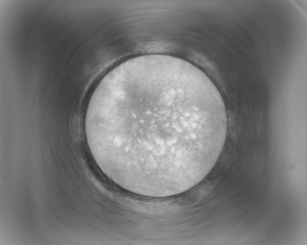 X0000063530012200602172255