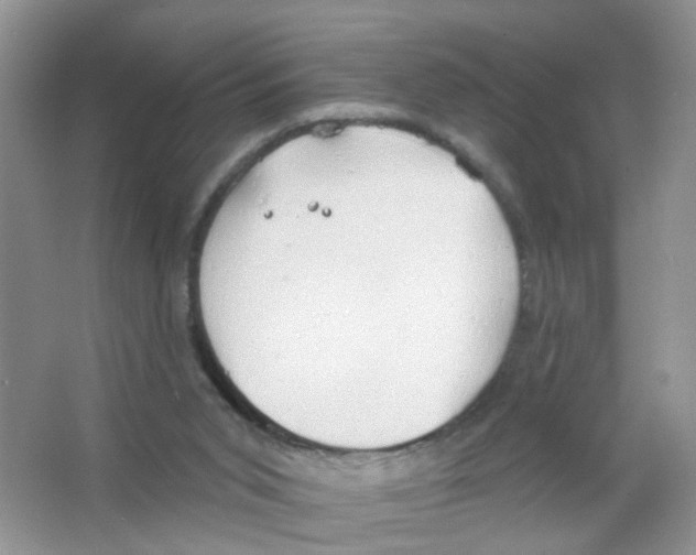 X0000063530015200602172255