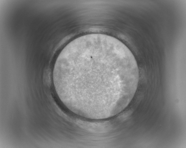 X0000063530016200602172255