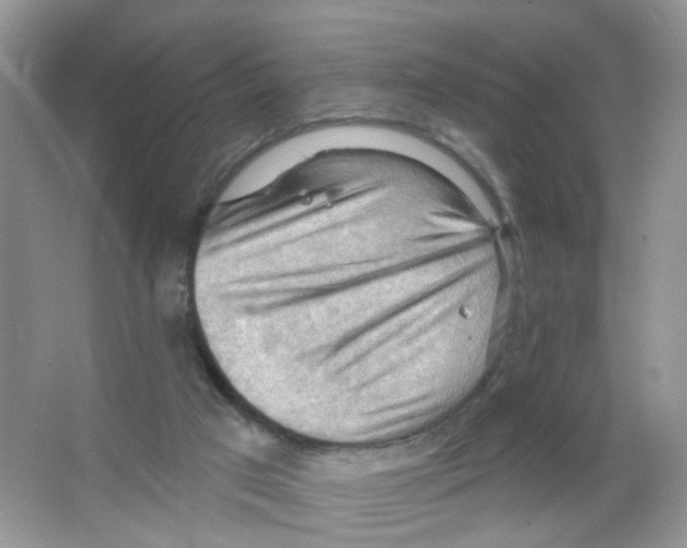 X0000063530017200602172255