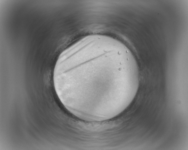 X0000063530018200602172255