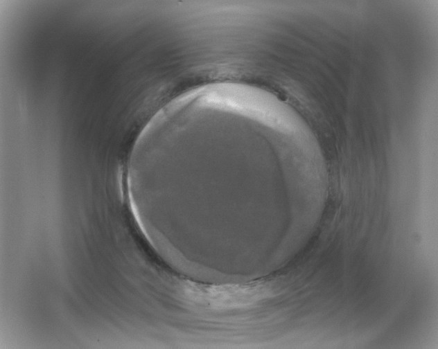 X0000063530022200602172255