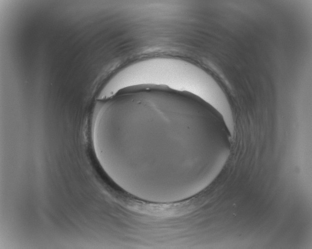 X0000063530023200602172255