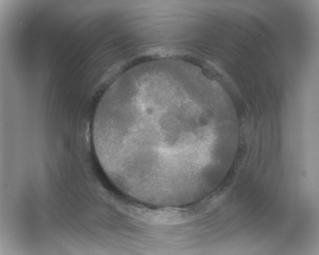 X0000063530024200602172255