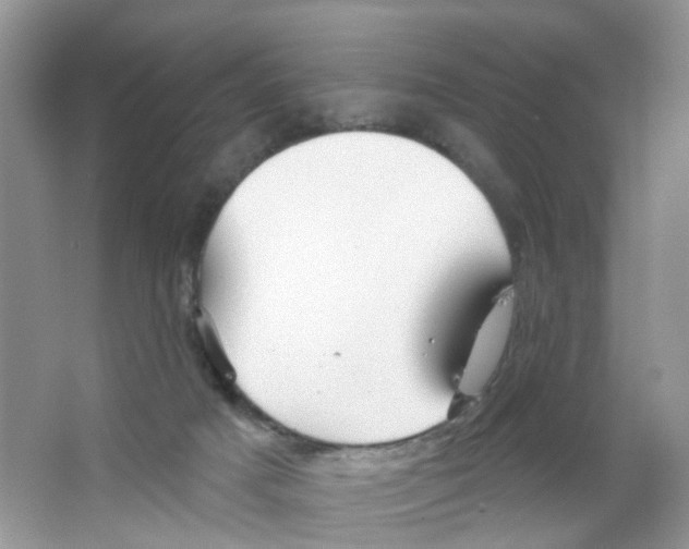 X0000063530025200602172255