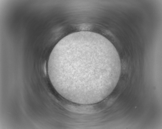 X0000063530028200602172255