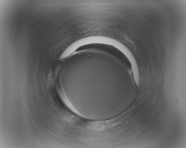 X0000063530029200602172255