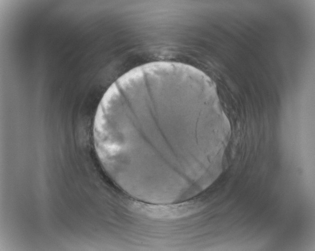 X0000063530030200602172255