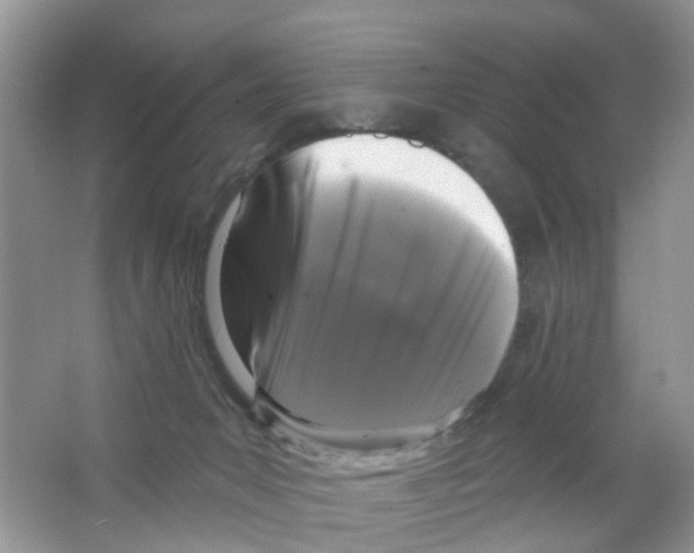 X0000063530031200602172255