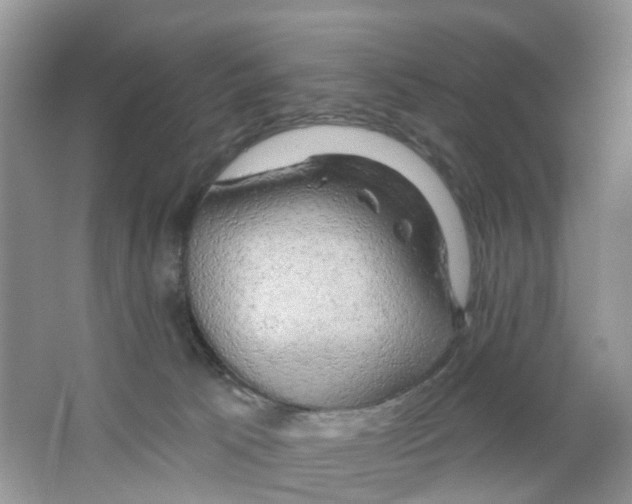 X0000063530033200602172255