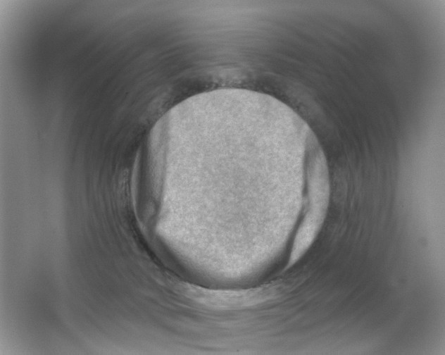 X0000063530034200602172255