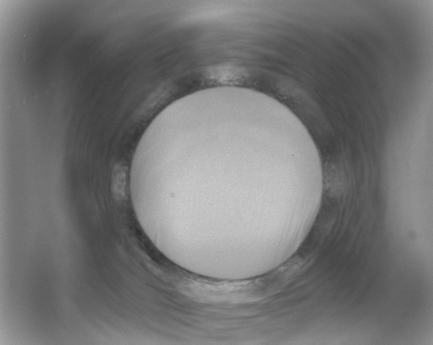 X0000063530036200602172255