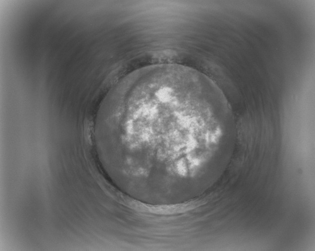 X0000063530038200602172255