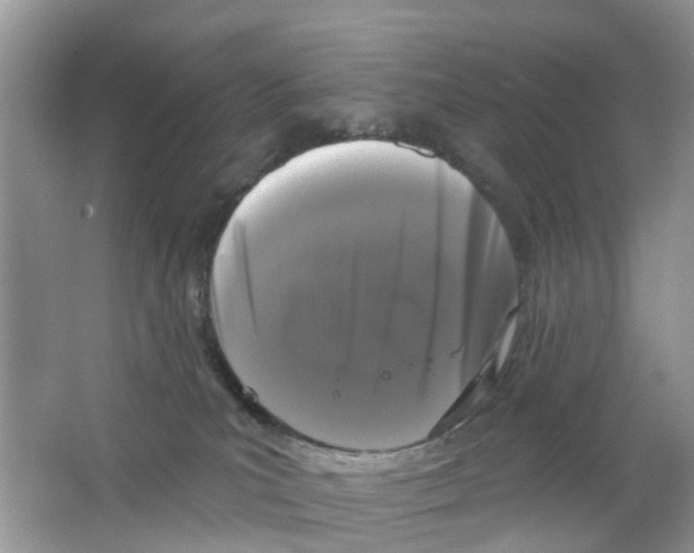 X0000063530039200602172255