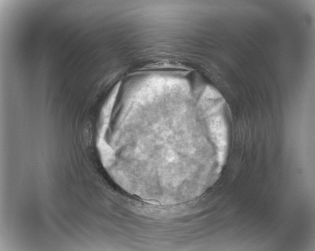 X0000063530043200602172255