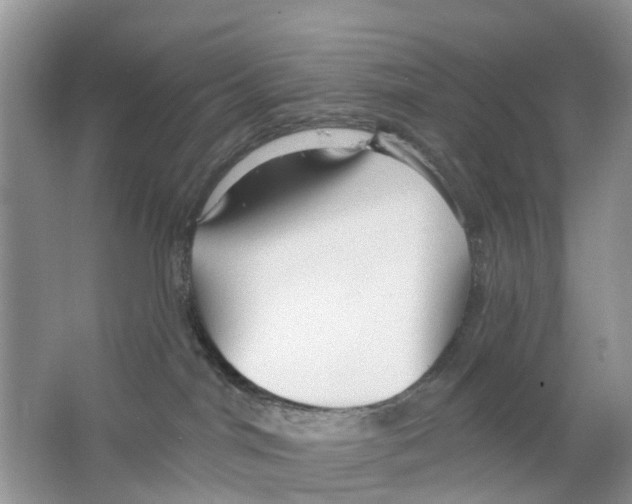 X0000063530044200602172255