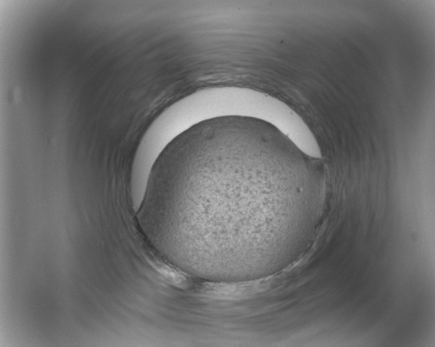 X0000063530045200602172255