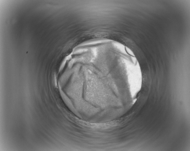 X0000063530046200602172255