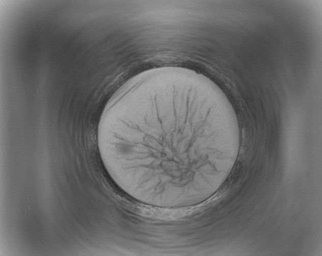 X0000063530048200602172255