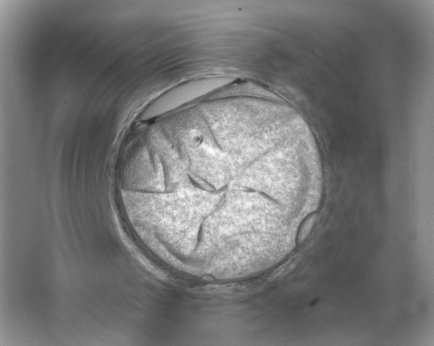 X0000063530049200602172254