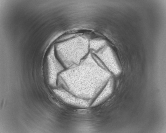 X0000063530050200602172254